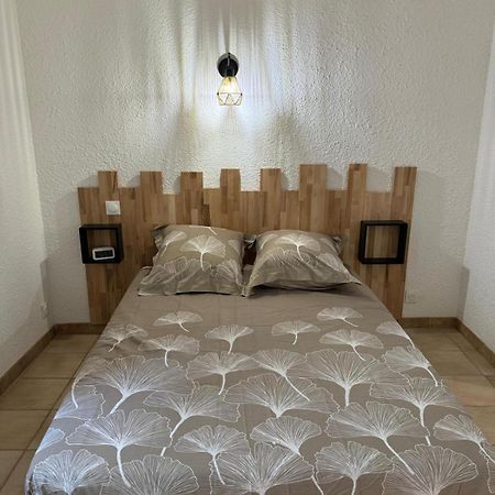 Charmant Appartement En Hypercentre De Кастельнодари Экстерьер фото