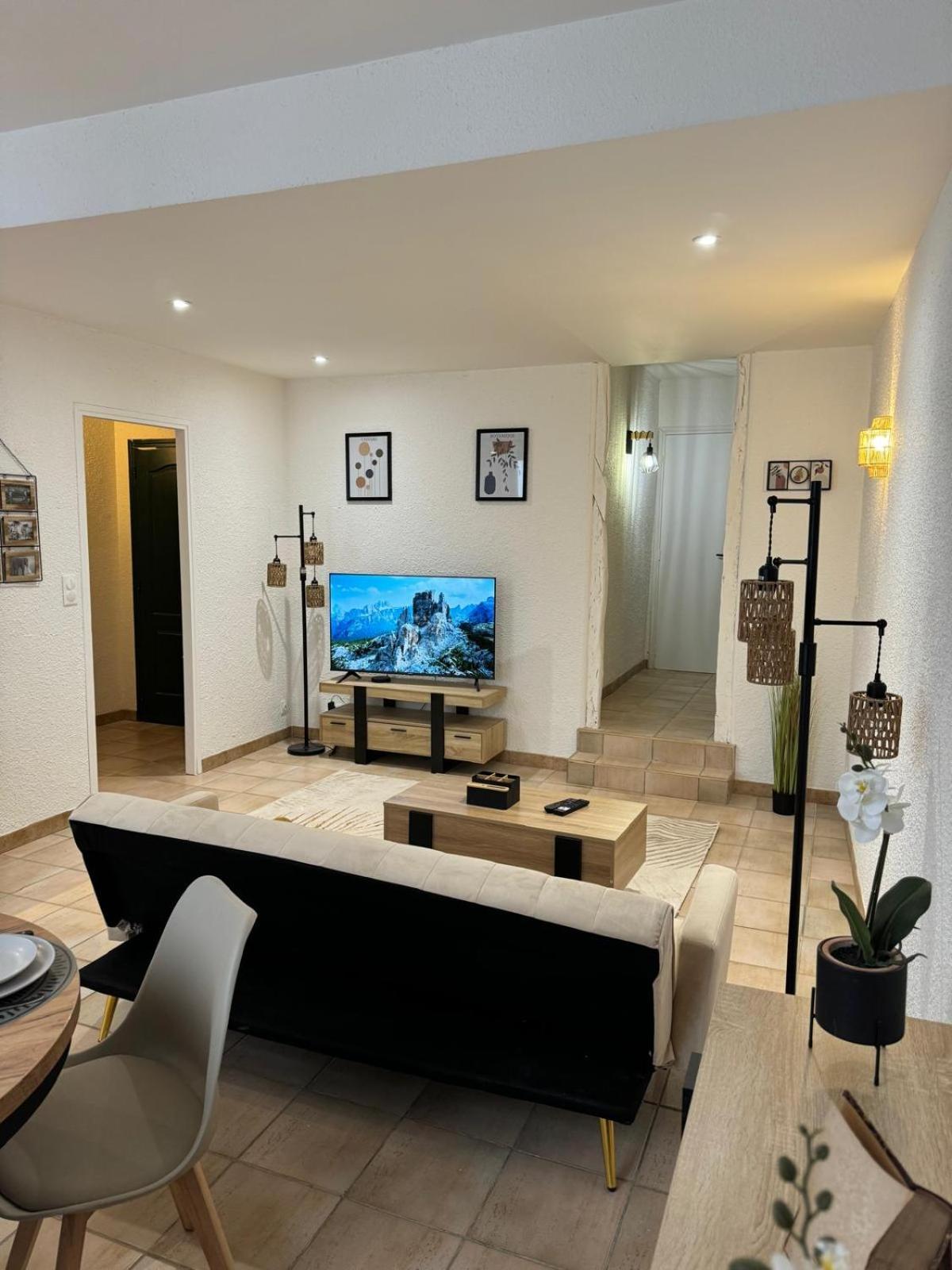 Charmant Appartement En Hypercentre De Кастельнодари Экстерьер фото